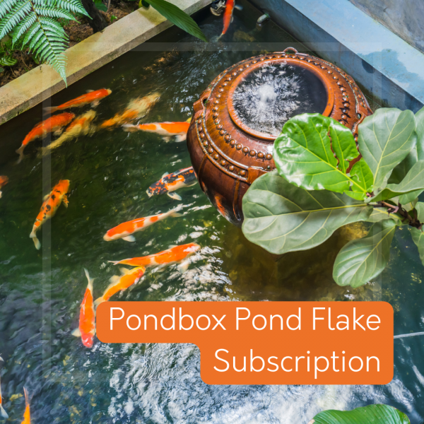 Pond Fish Flakes Subscription Pondbox